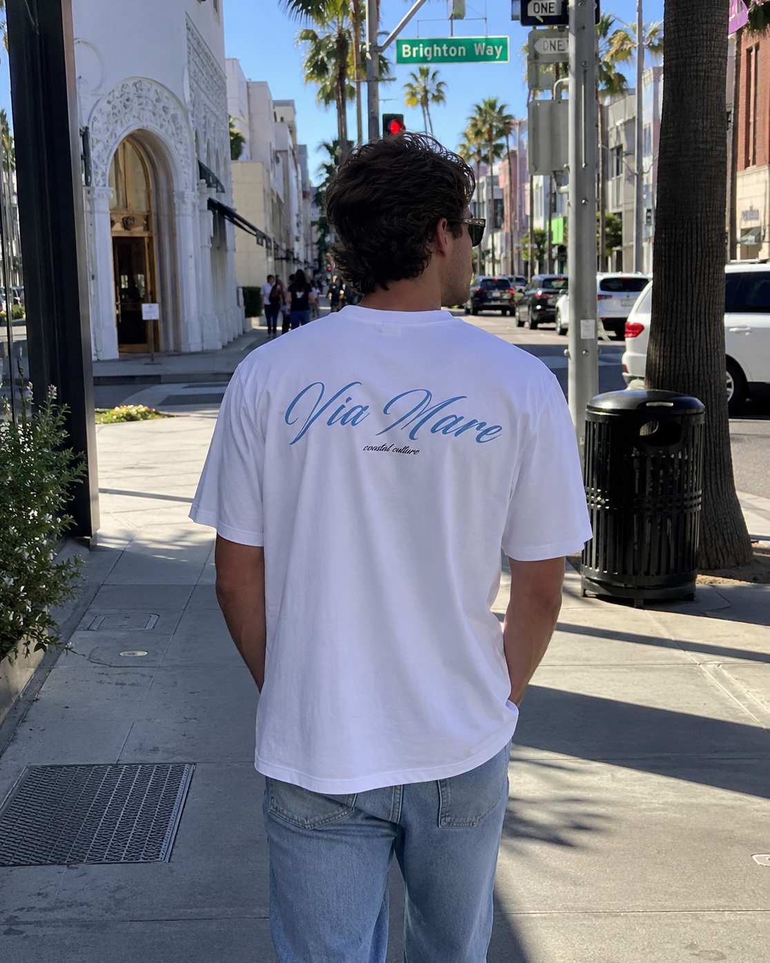 Bianco e Blu Maglietta · White and Blue Shirt